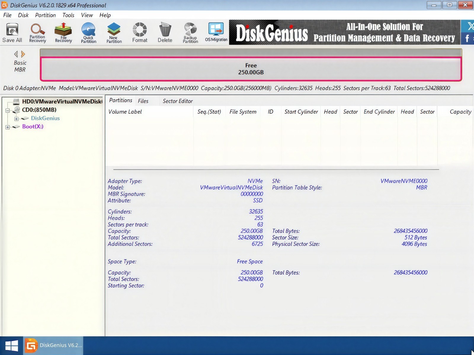 DiskGenius Professional Bootable DVD/USB