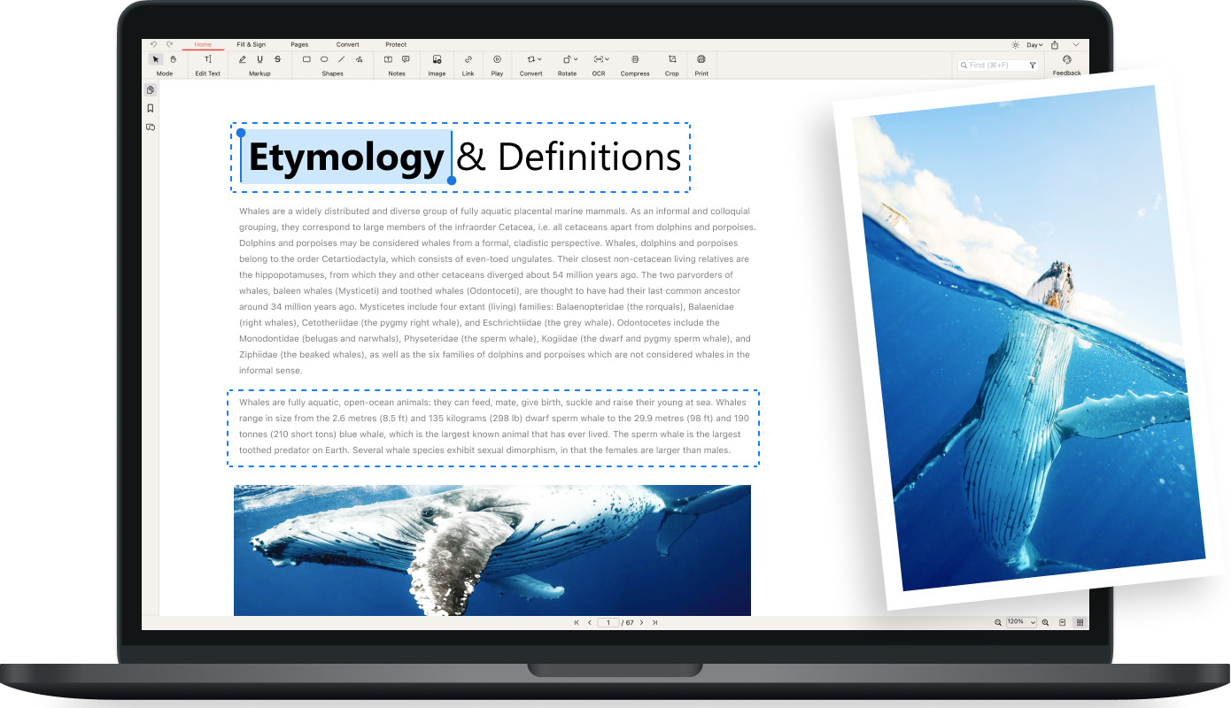 PDFgear Software Suite ~ Professional Management PDF Editor ~ for Windows on CD