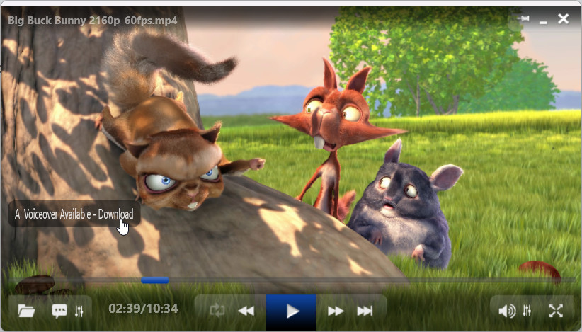 ALLPlayer Media Center Pro 2026 v9.6 Software Video Music DVD Player ~ Windows