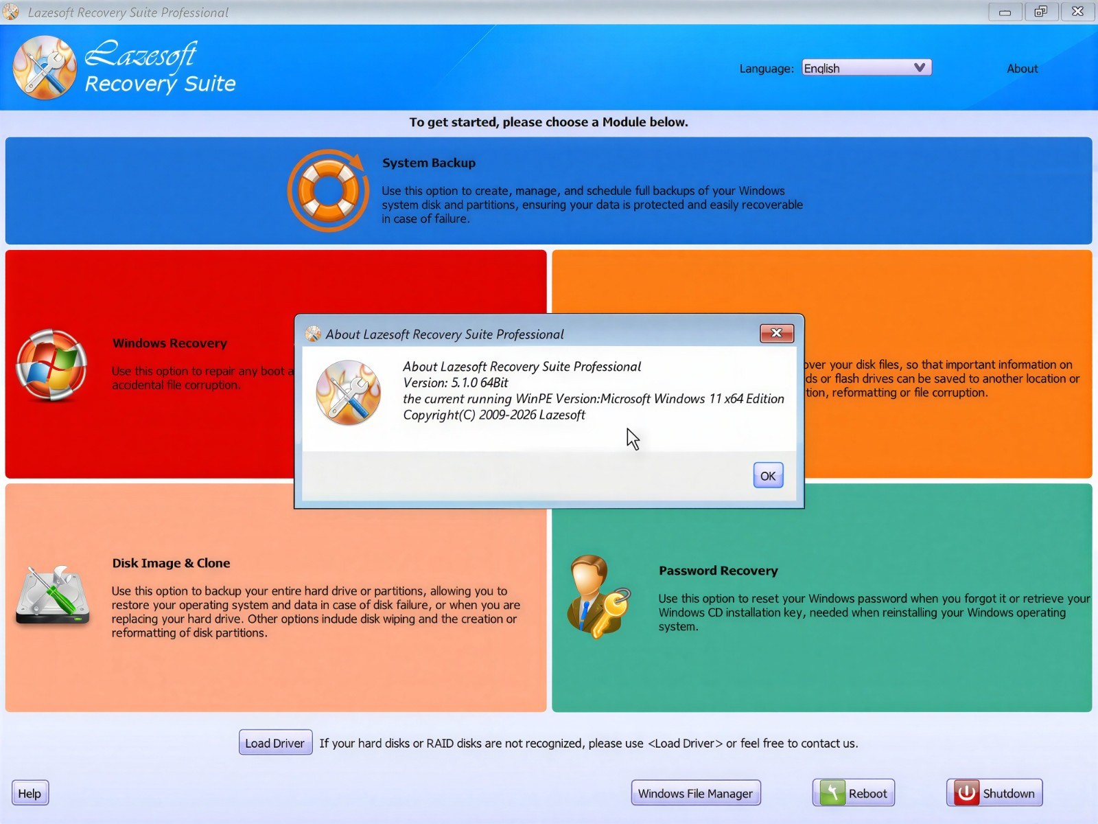 Lazesoft Recovery Suite Professional Edition Bootable DVD/USB