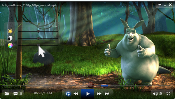 ALLPlayer Media Center Pro 2026 v9.6 Software Video Music DVD Player ~ Windows