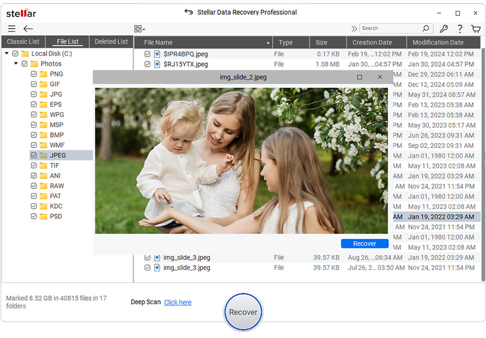 Stellar Data Recovery Professional for Windows | Email Delivery | Download